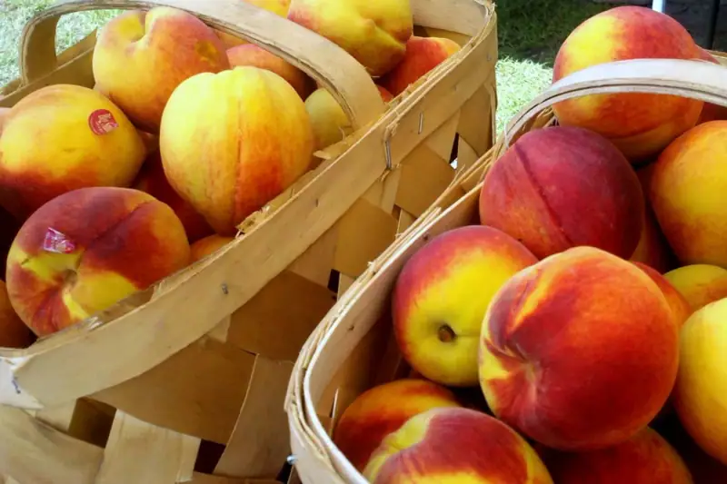 Five Market Finds That Changed How I Cook